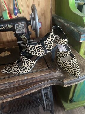 Leopard Print Pointed-Toe Stiletto Heels - Women